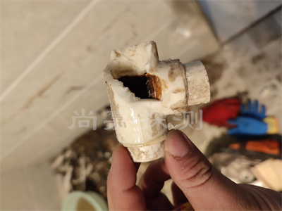 白鹭湖管理区自来水管道漏水检测