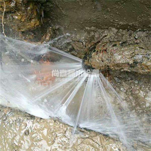 白鹭湖管理区消防管道漏水检测